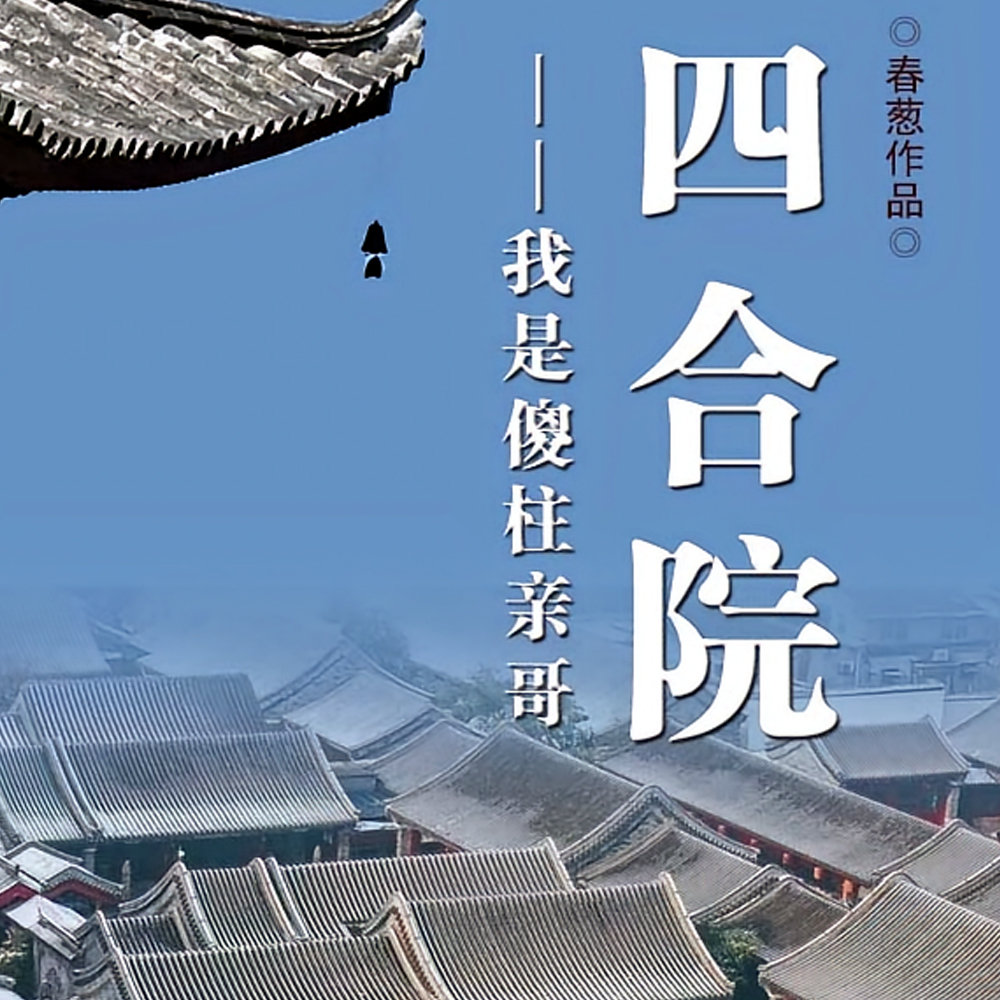四合院之我是傻柱亲哥